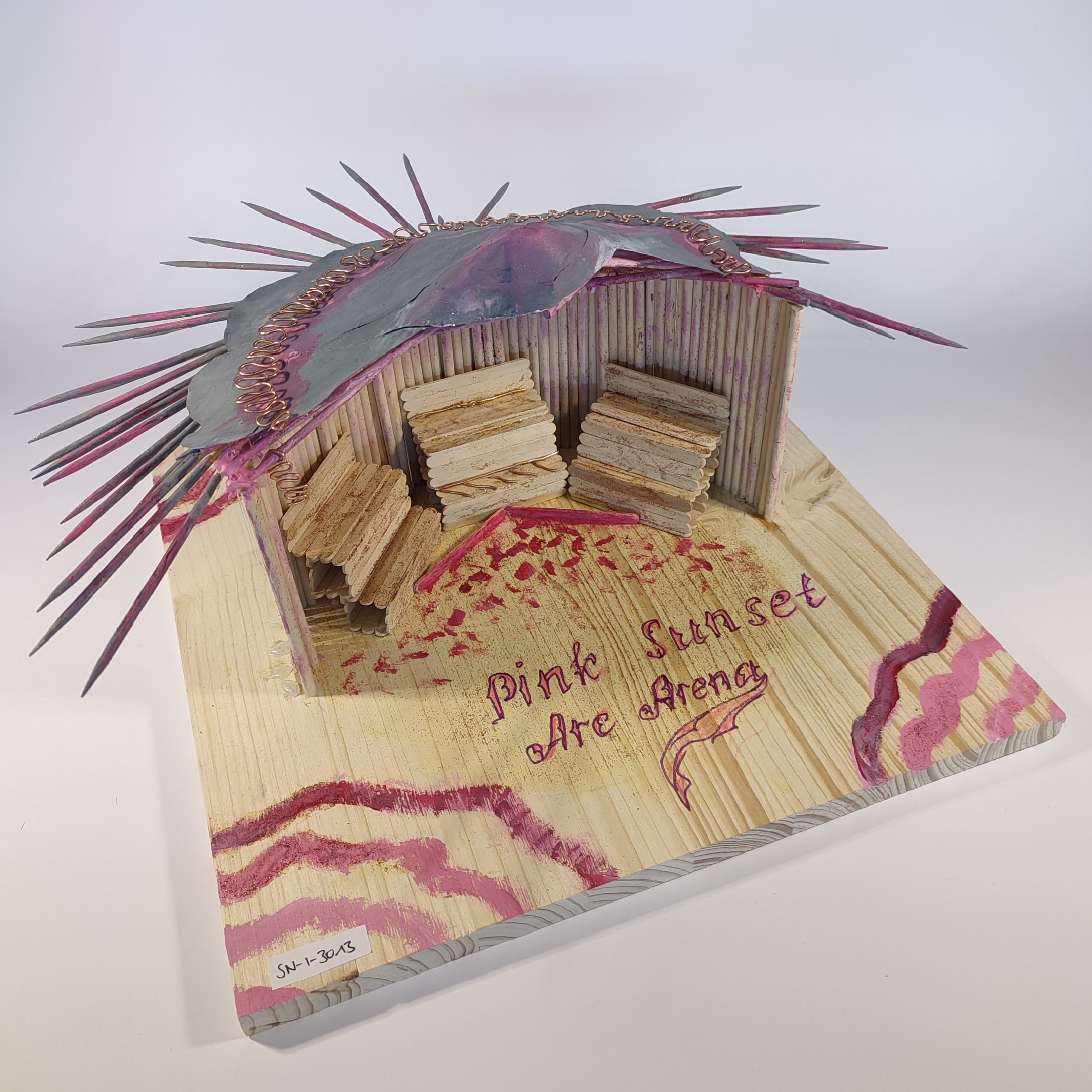 Pink Sunset Arc Arena